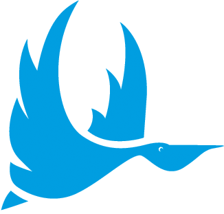 LePelicanSXM's profile picture. Le quotidien de l'île de Saint-Martin, Antilles françaises