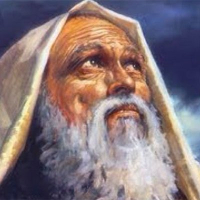 shahramtanha3's profile picture. 