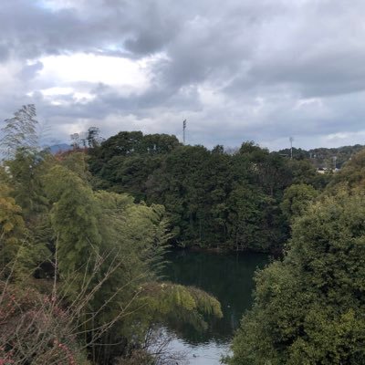 xm_sl7's profile picture. 20卒(新卒)男。同じ境遇の人繋がりましょう！いいねは応援です。