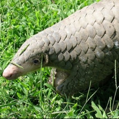 pero276's profile picture. 