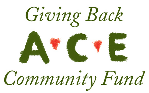 The ACE Community Fund is ACE's corporate giving program. We donate millions of dollars to organizations nationwide.