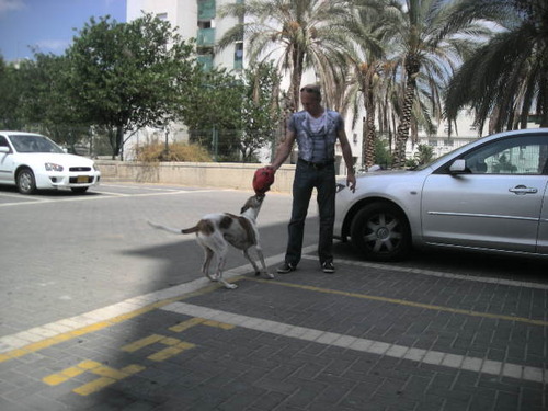 prostepM's profile picture. 