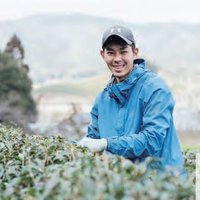 江籠純平🍵お茶農家 (@egoen_wazuka) 's Twitter Profile Photo