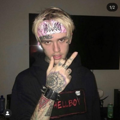swappytoppy123's profile picture. Not a fake nor alt acc, just ignore my follow