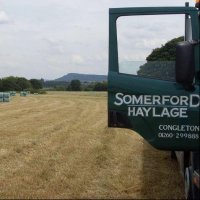 Somerford Park Farm (@somerfordpark) 's Twitter Profile Photo Somerford Park Farm (@somerfordpark) 's Twitter Profile Photo