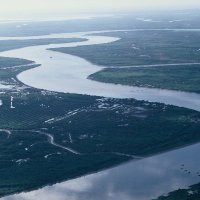 WWF Resilient Asian Deltas🐬 (@wwfasiandeltas) 's Twitter Profile