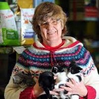 carol ivory (@parmatma1111) 's Twitter Profile