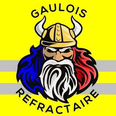 gauloisgj's profile picture. Ancien compte Jérôme le Gaulois bloqué en attendant suivez-moi ici 👍#laremauchiotte2022 #antimacronnard
