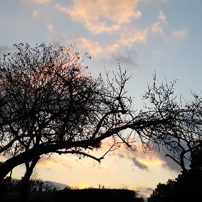 oC06Y7tT9dfTWzl's profile picture. 