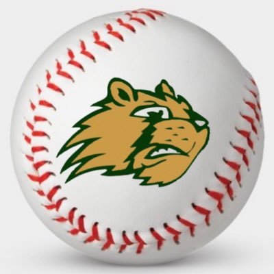 Ridgemont Golden Gophers High School Baseball Page