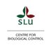 CBC (@CBC_SLU) Twitter profile photo