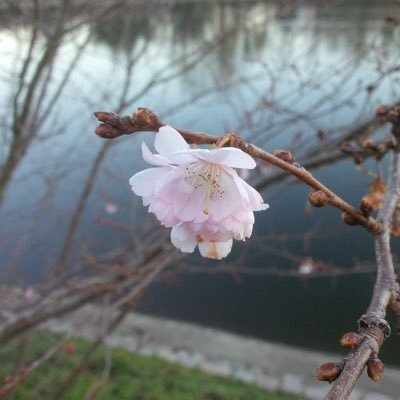 Nicoem6's profile picture. 