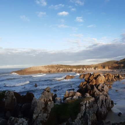 sb_pzpz's profile picture. Views are my own. RT does not mean endorsement!