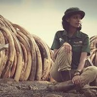 Raabia Hawa (@raabiahawa) 's Twitter Profile