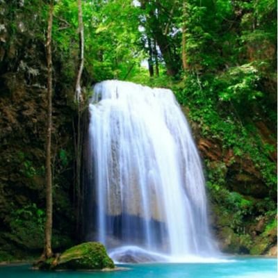 GhodakeSwati's profile picture. 🌸  बार्शी रणरागीणी  🙏