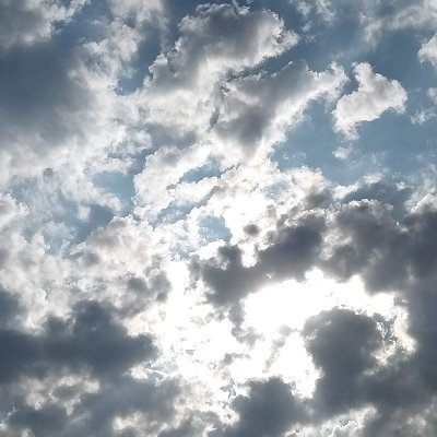 SofaSofo4ka's profile picture. 