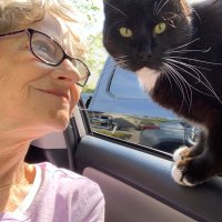 valerie (@valw202) 's Twitter Profile