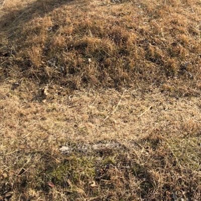 taishuy_920's profile picture. 