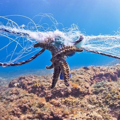 Spreading awareness about the real dangers of ghost gear to our environment.
