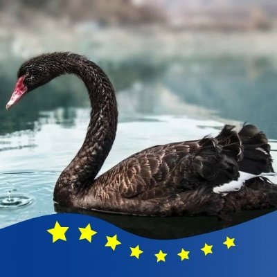 100% Remainer #3.5% #StayHome
#FreeNazanin #FBPE
#BlackSwan #FarRightCoup #GTTO #ASpecialPlaceInHell
