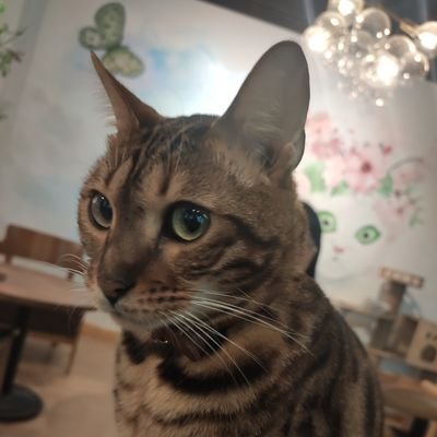 ひろこさんのプロフィール画像