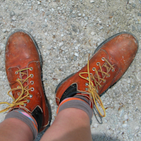 hasslefactory's profile picture. 