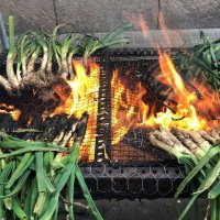 Ferran (@fodriii) 's Twitter Profile