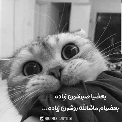 #براندازم
#اخوند_کش
#خامنه_ای_جلاد
پایبند به اصول اخلاقی و انسانی
