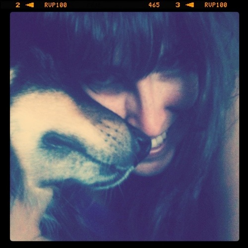 I write at http://t.co/dKigTjju9k and http://t.co/RxAlToK3Jg (@ShesThinking).  I'm a Boulder Native who loves (my) dogs, boba, and @Rhymeswithmilk.