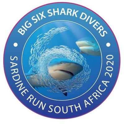 Big 6 Shark Divers offer you a unique opportunity to dive with the ocean’s apex predators.
Join us for ten action-packed adrenalin filled days of shark diving.