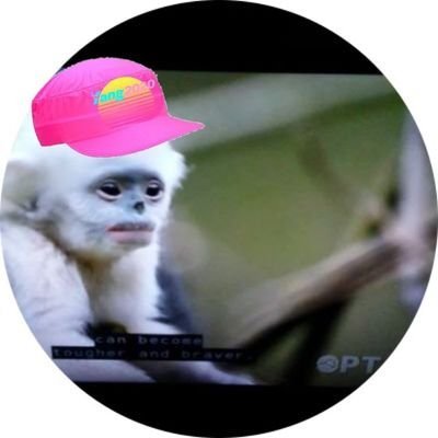 return2_us's profile picture. FB after vetting. (No solicitors/sexually explicit content) Likes/RT's are mostly methods of indexing and transfer #UBI #RCV #DemocracyDollars ✌+💘 to all