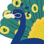 Birb Jin Zixuanさんのプロフィール画像