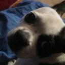 Natalie Temple - @missnurse81 - Twitter