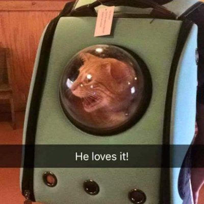 johnsmi93305137's profile picture. Nothing to add