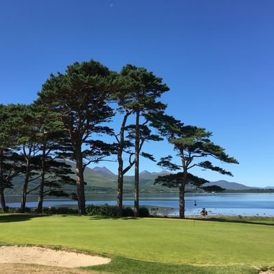 Matt_SE_20's profile picture. Work, golf, twitter