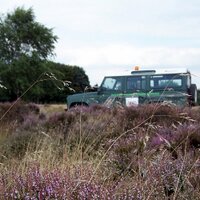 Sutton Ranger (@suttonparknnr) 's Twitter Profile