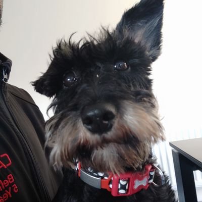 Aguywithhat's profile picture. 