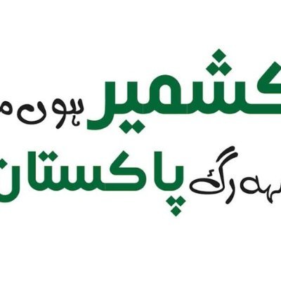 aemra12's profile picture. *%BSc Engineer, Architecture%*  
*%IT professional, Medical Assistant%*
*%Struggling for peaceful Pakistan%*