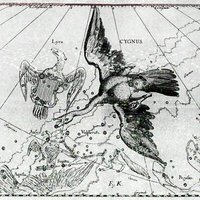 Cygnus (@cygnusamerica) 's Twitter Profile Photo Cygnus (@cygnusamerica) 's Twitter Profile Photo