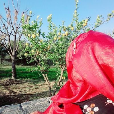 saniasarfraz92's profile picture. |Student AIOU Islamabad|



|Naatkhwan|



|MCA Social media activist|



 |MQI|



 |pakistanzindaabd|