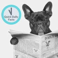 QuickDailyFacts (@quickdailyfacts) 's Twitter Profile