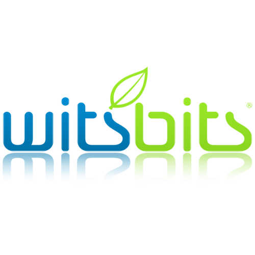 Witsbits's profile picture. Dead simple server management for the masses