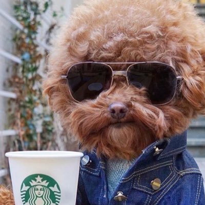 VicLePik's profile picture. .