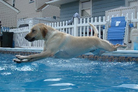 headshoes's profile picture. 