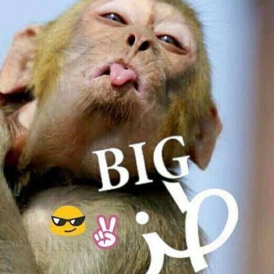 whateverU5's profile picture. 