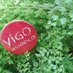 @vigohistorico (@vigohistorico) Twitter profile photo @vigohistorico (@vigohistorico) Twitter profile photo