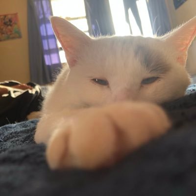 menma1126k's profile picture. 