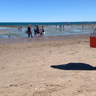 Lulis_fernandez's profile picture. 