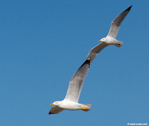 FiddeldyTweet's profile picture. Artist, writer and progressive in progress...