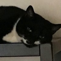 Lorraine18 (@lorraine18g) 's Twitter Profile